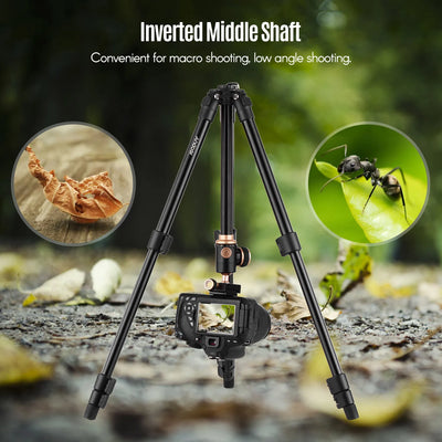 Camera Tripod Complete Tripods with Panoramic Ballhead Bubble Level Adjustable Height Portable Travel Tripod for DSLR Digital Ca